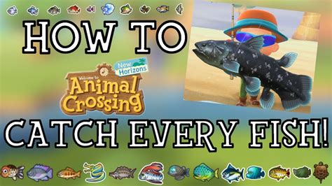 Animal Crossing New Horizons – How to Catch a .